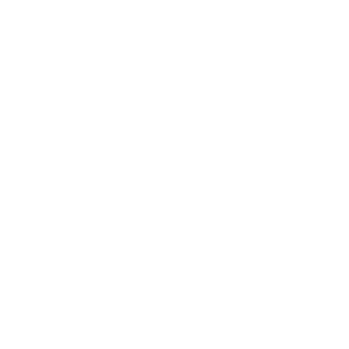 Logo Ornella Colicchio white 